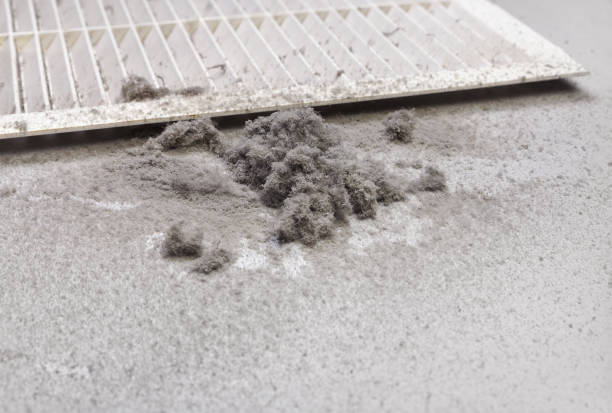 Best Affordable Duct Cleaning Services  in Tripoli, IA